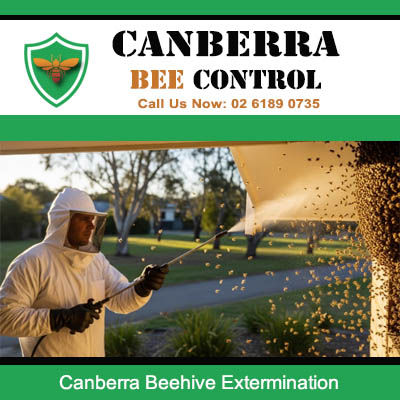 Emergency beehive extermination services in Canberra public spaces